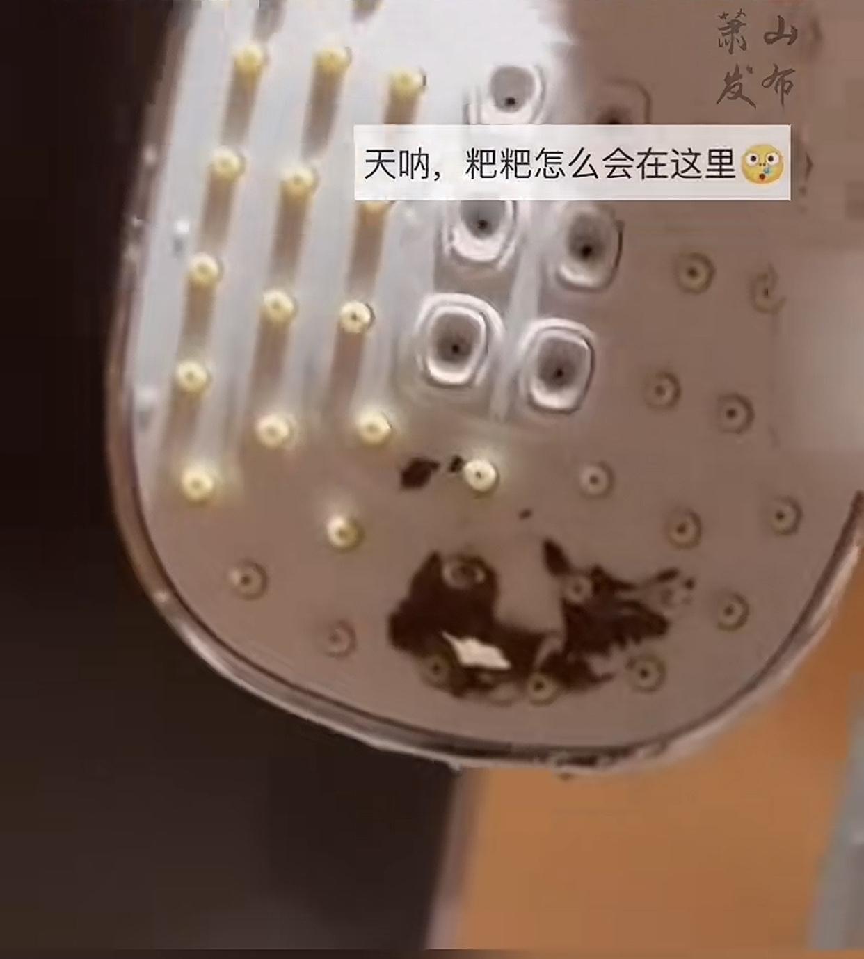 谁能接受啊！住酒店居然遇到这种离谱事！无锡一对夫妻11月29日入住全季酒店