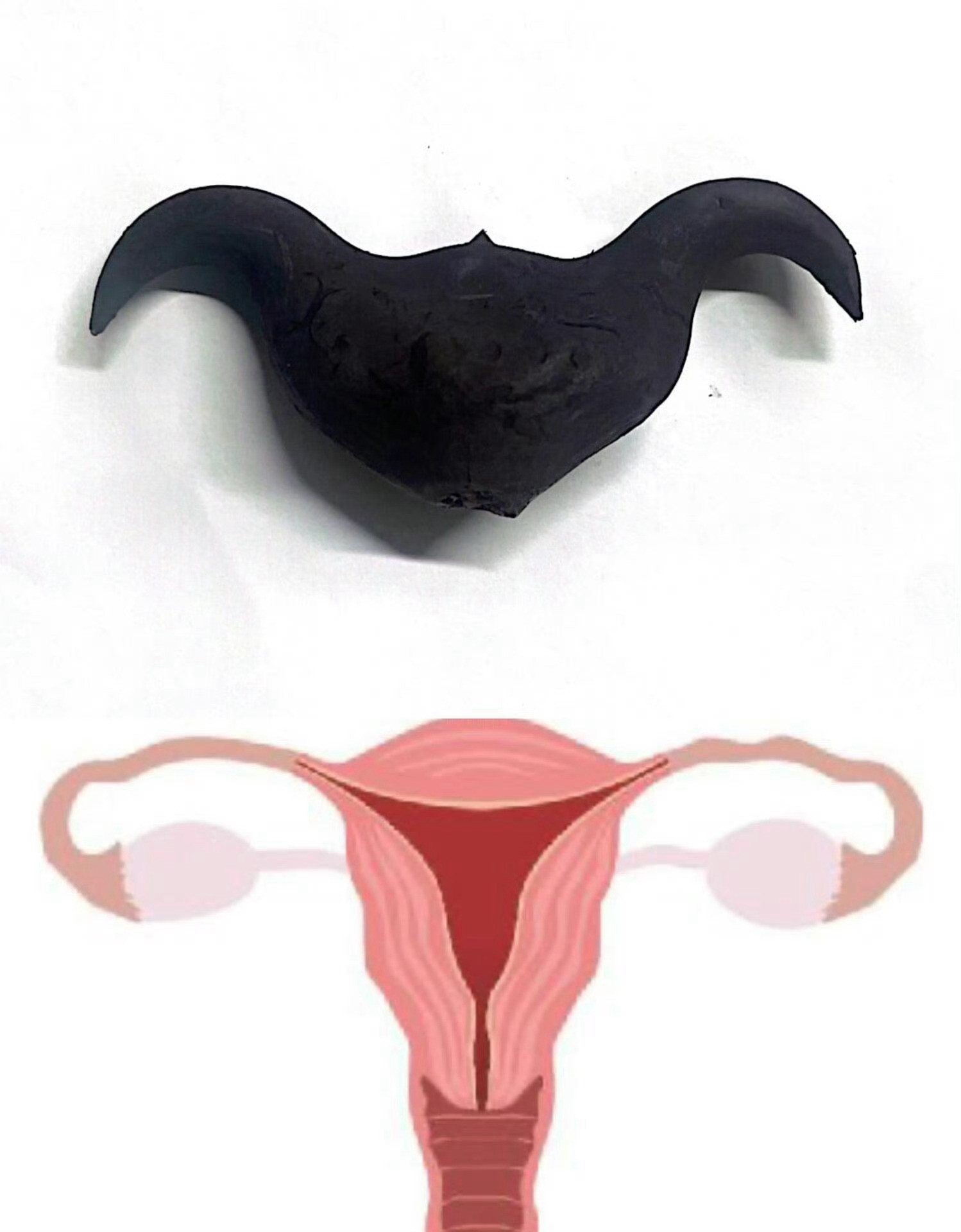 菱角的女性精神​​​