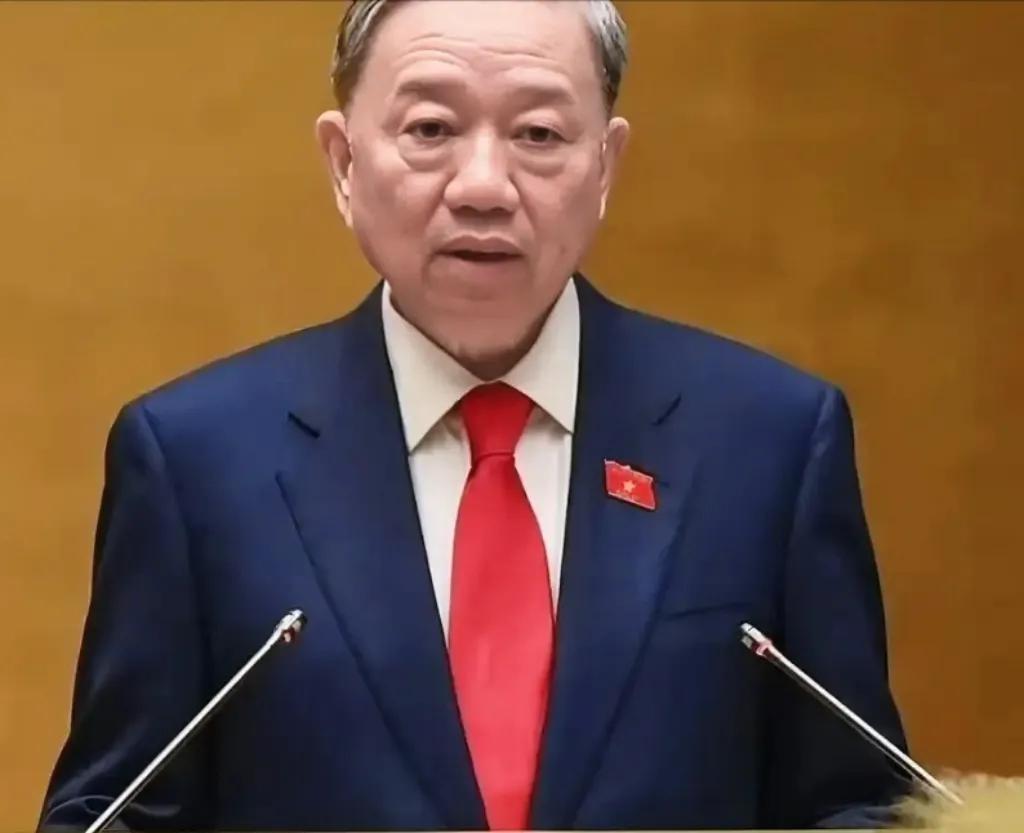 越南这回真是把我看乐了梦碎了一地那个卖房子的Vingrou