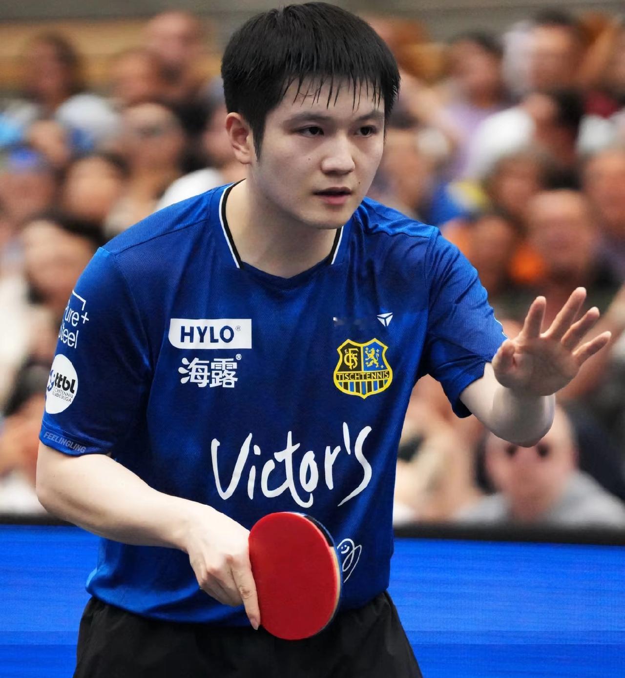 主持人问樊振东：“去欧洲打俱乐部比赛后，还会代表中国队打比赛吗？”樊振东说：“这