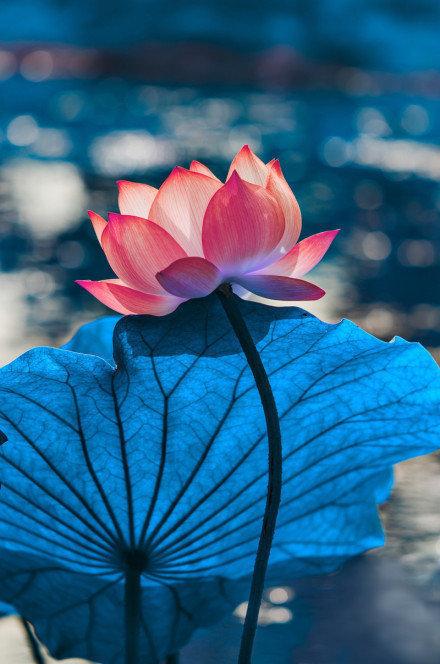 今天是公元2026年4月20日,星期一,农历三月初四.丙午年壬辰月甲子日;