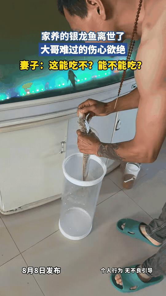 “笑不活了！”山东，一大哥养了3年多的银龙鱼死了，正在鱼缸前伤心难过的时候，妻子