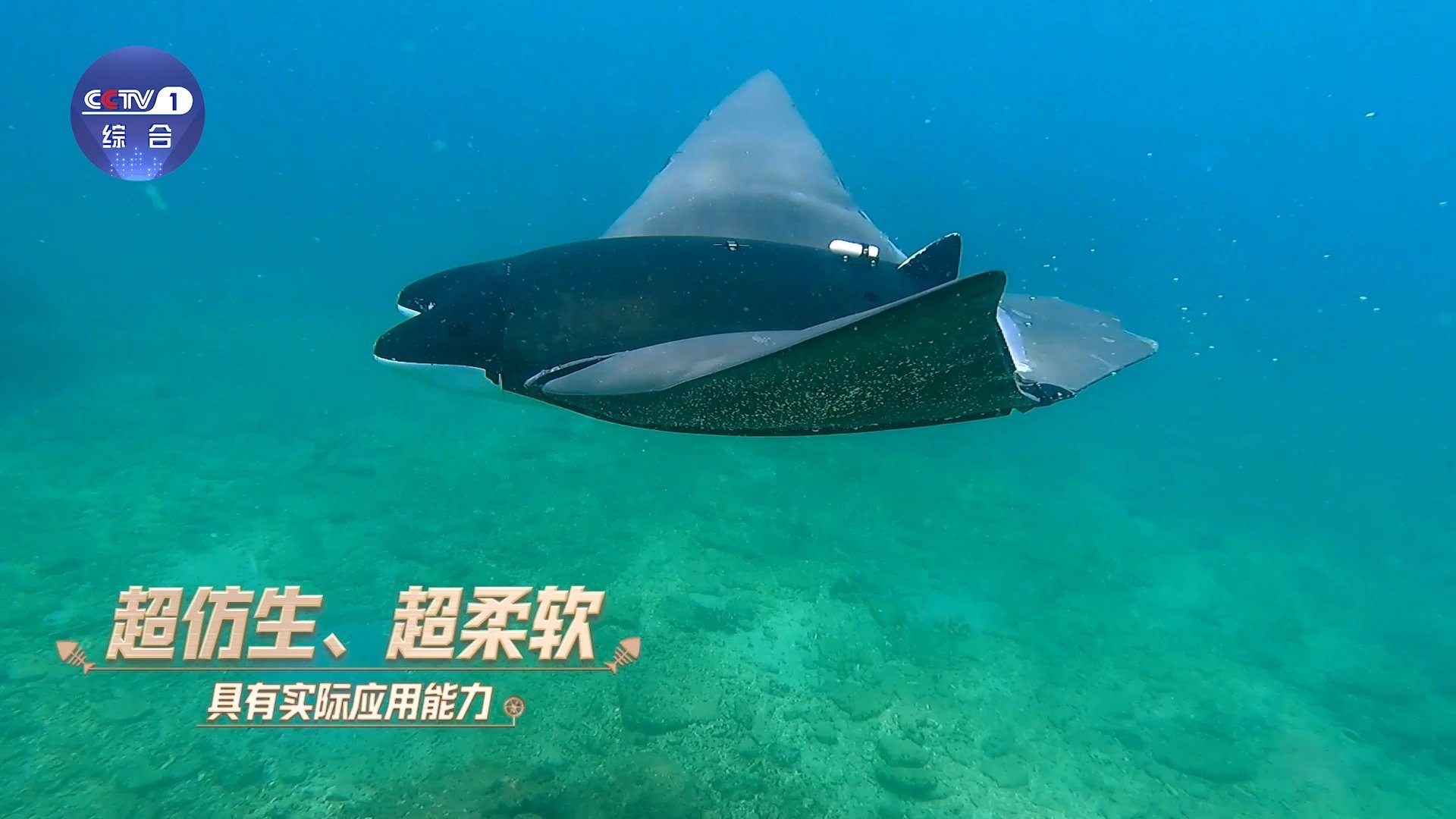仿生鱼已经进化到这种程度了吗当我亲眼目睹那仿生鱼在水中灵动穿梭，鱼鳍有节奏地摆