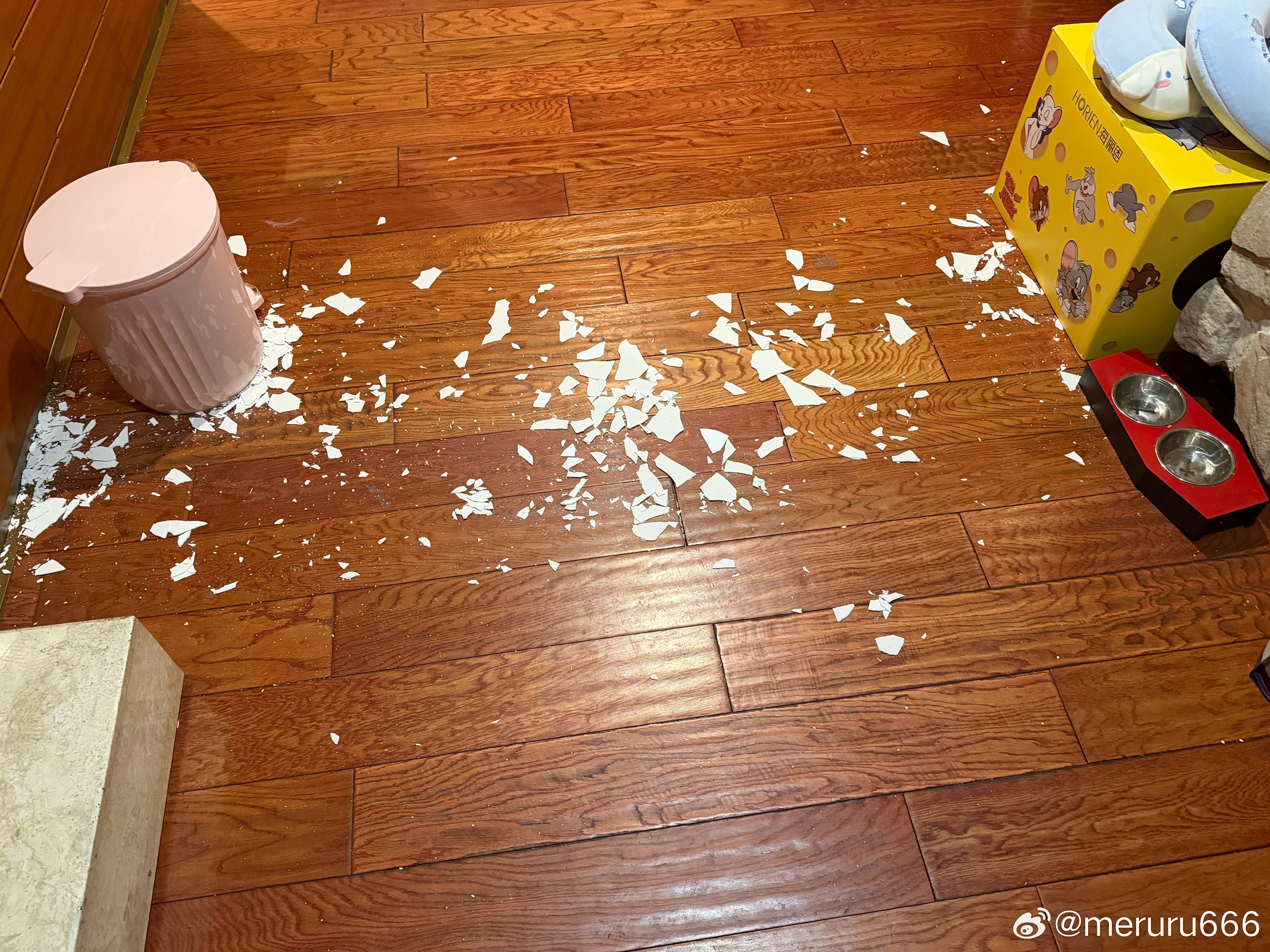 天花板的墙皮掉下来了→_→难道说就是今天必须要修补了吗