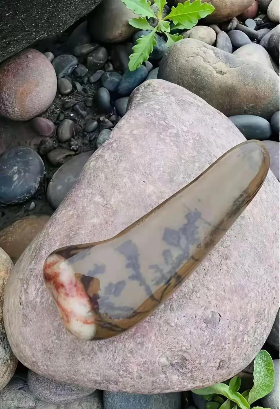 摸田螺摸到的，应该很值钱吧。