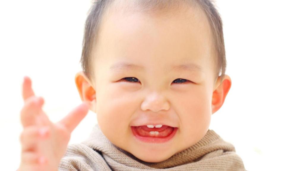 6500446107552669724.jpg?id=0