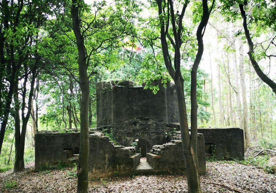 2005年，广州花都几名护林员，正在蛇头山顶开辟防火带。突然，有人大喊：“看！那