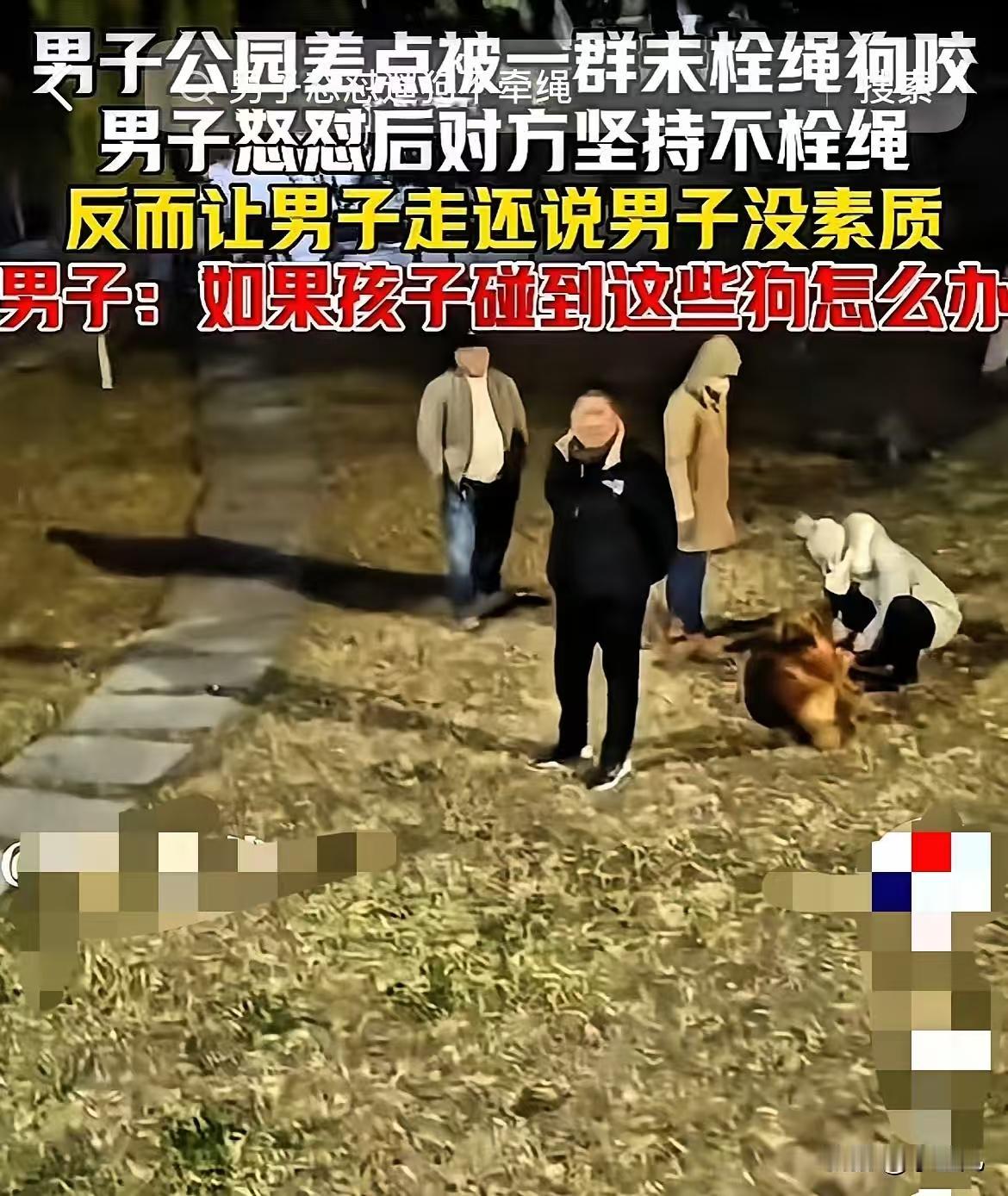 太没素质了！山东，男子在公园发现一群未拴绳的狗，差点就被咬。不信你看，明年开始狗