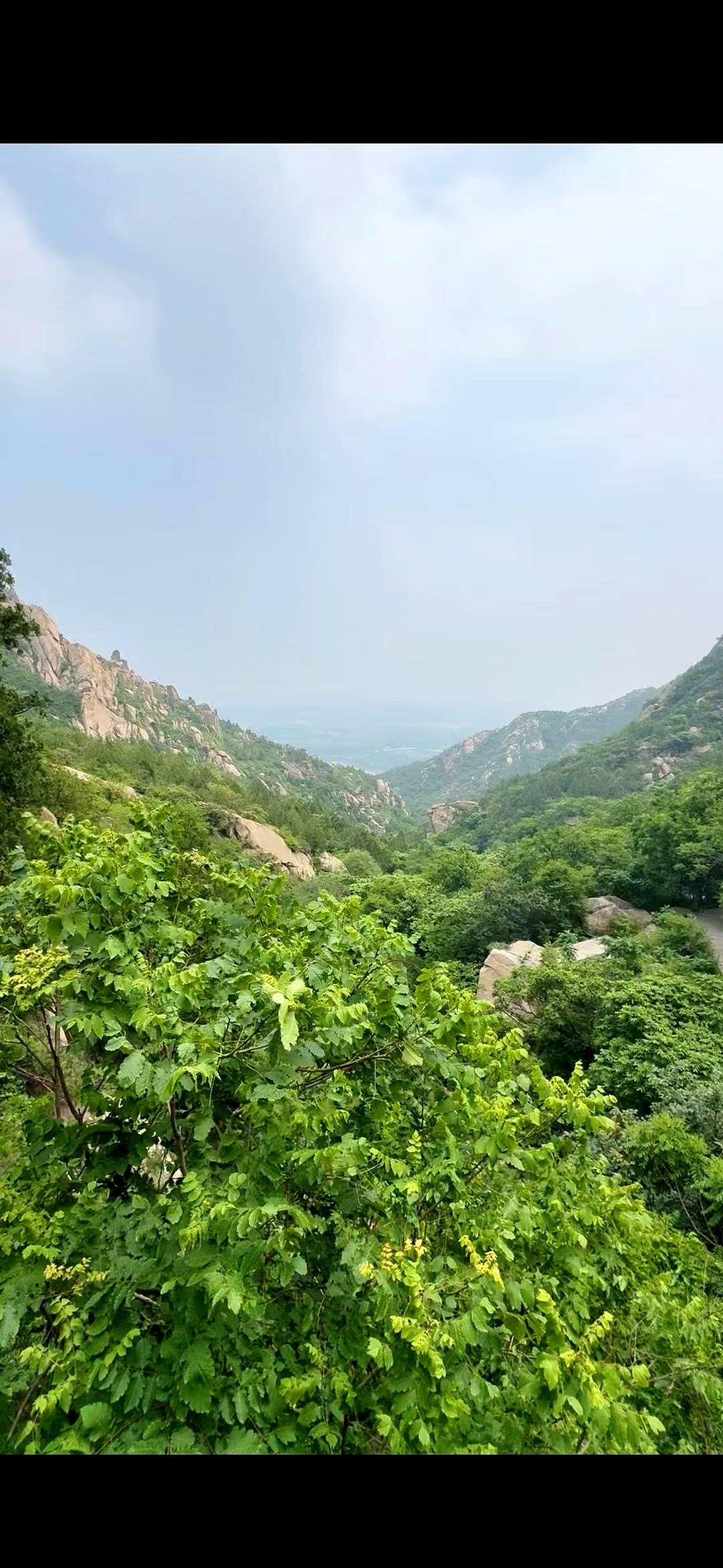 “这是个人行为。”电话那头，单位的声音不带一点温度。我表妹攥着手机，指节都发白