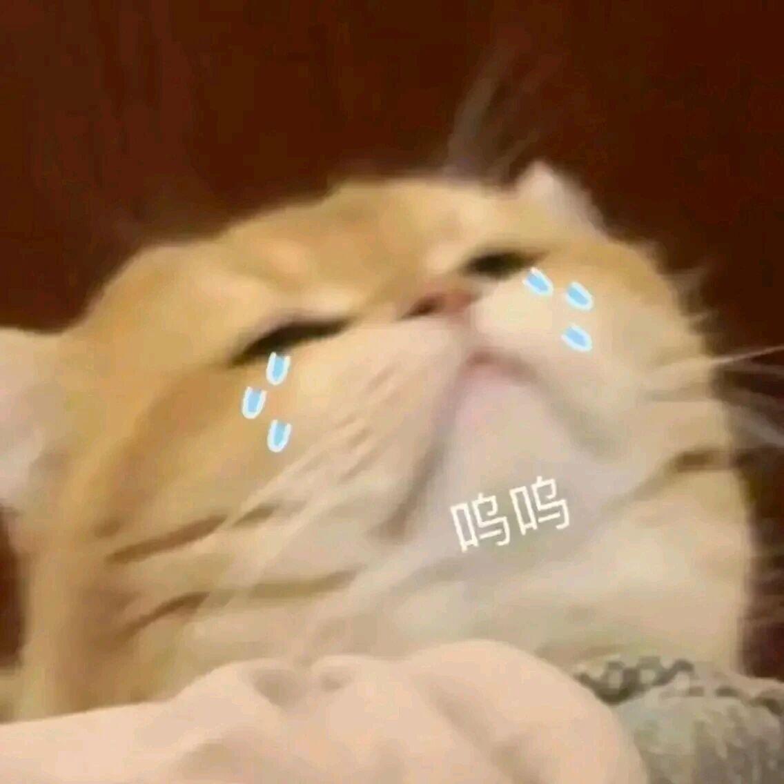 女大学生因腹泻等入院6小时后死亡所以原因到底是因为什么？有什么隐形的吗？