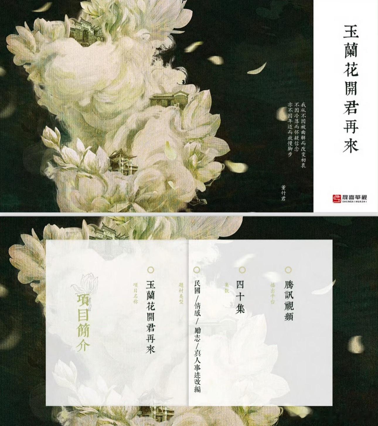 🍉🐧《玉兰花开君再来》项目亮点，女主暂定杨紫​​​
