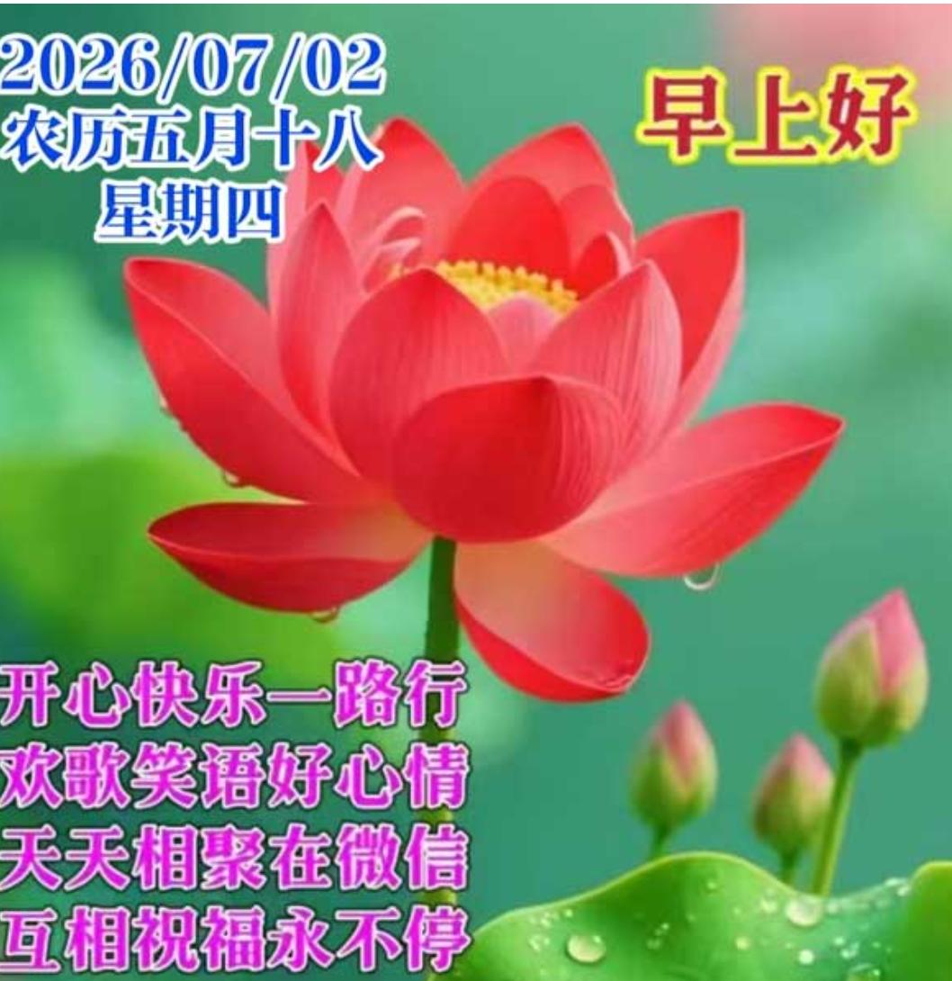 夏日清晨送安康，平安喜乐常相伴；亲情友情记心间，好运连连伴左右；喜迎新月