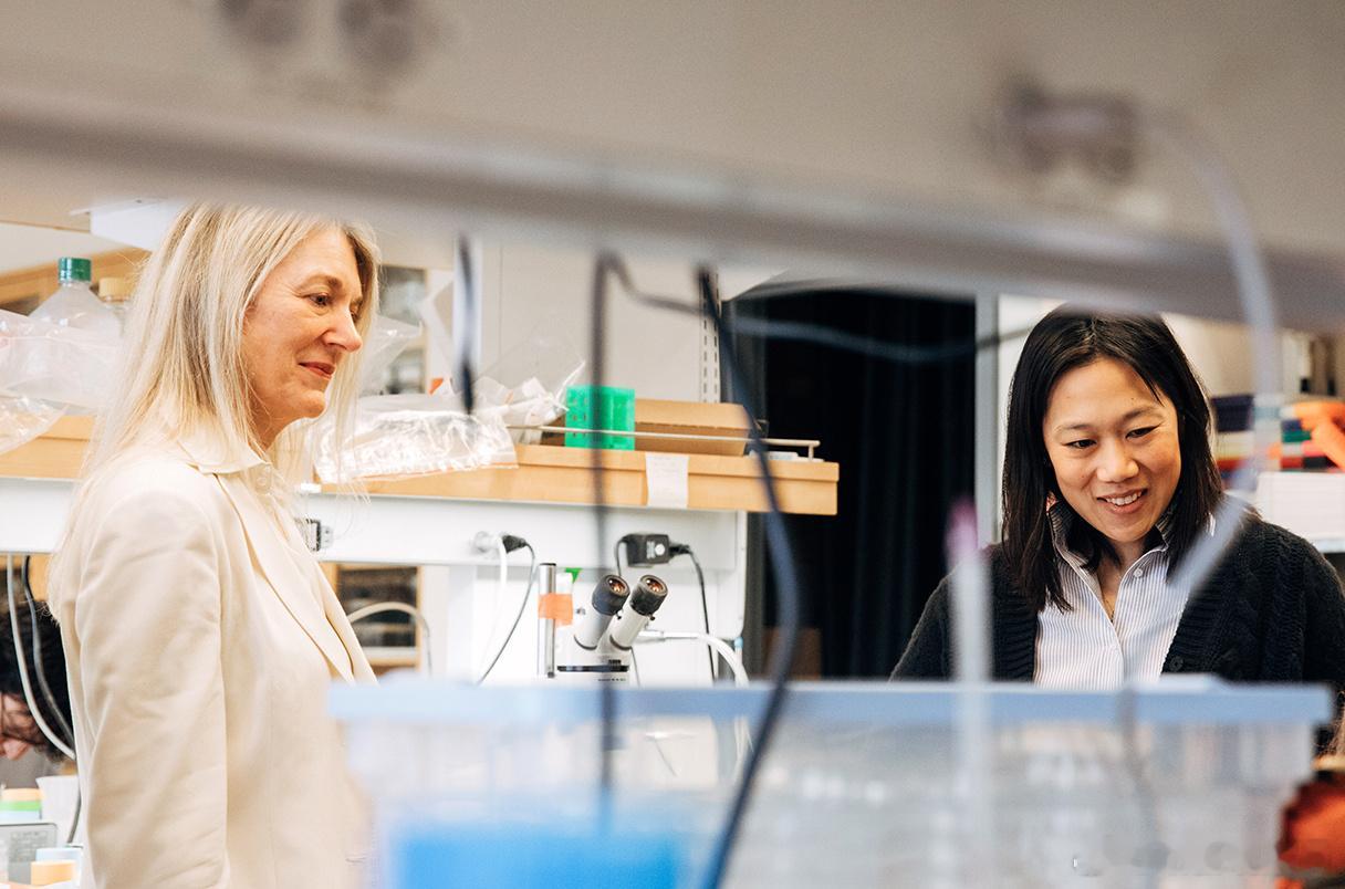 扎克伯格：通过AI终结所有疾病！11月6日，发表在Science上的一篇文章，