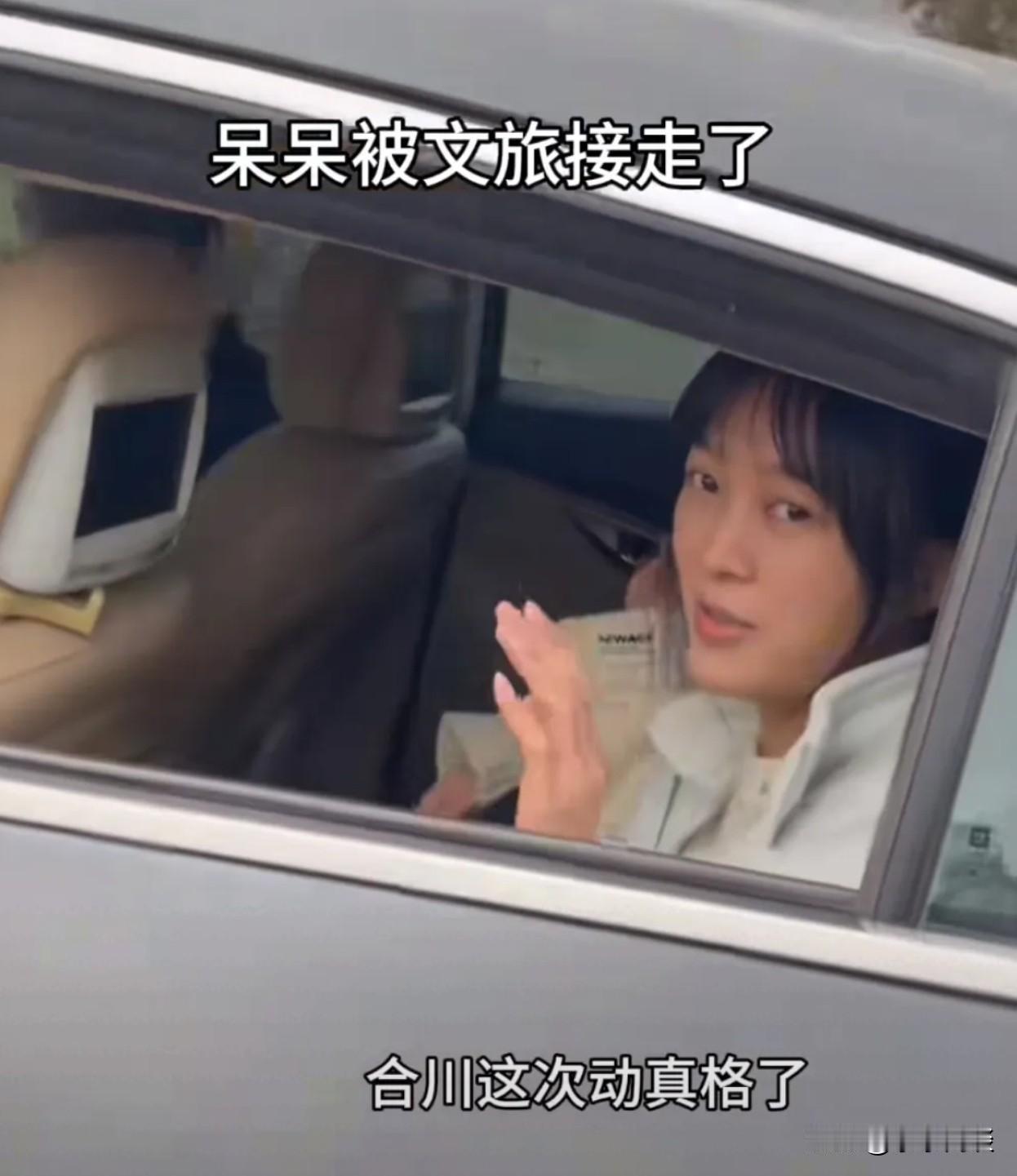 我问老婆，为什么合川政府要把呆呆接走老婆白了我一眼，吐槽我刷抖音只看热闹不