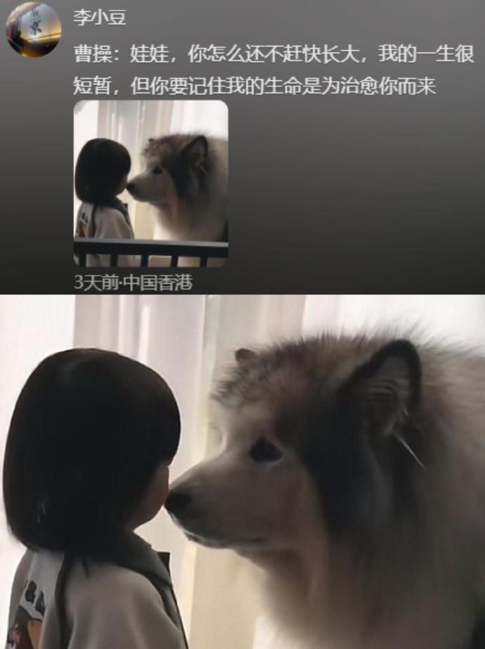 小狗会把自己当成哥哥吧