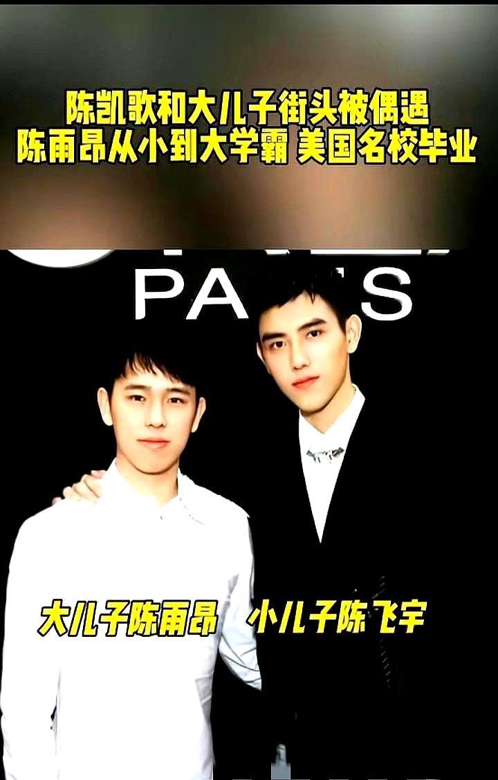 名门望族最顶级的人脉，从来不是结交权贵，而是兄弟间不带嫉妒的托底。当弟弟陈