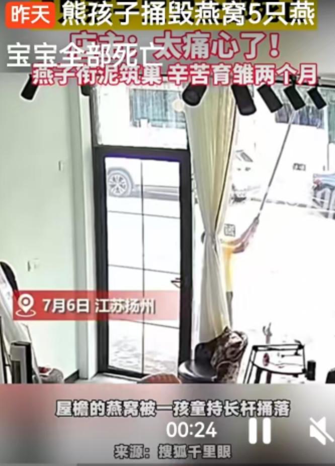 7月6日，江苏扬州发生了一件让人看着十分揪心的事。当地一家店铺的店主薛女士外出就
