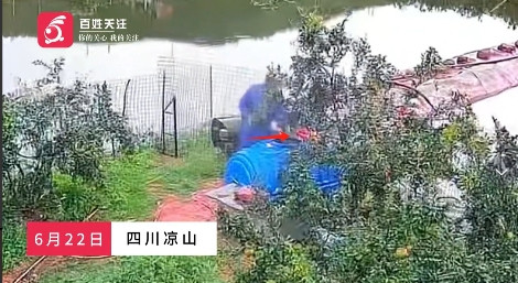 四川凉山，一女子查看果园监控时浑身发抖，邻居正将整瓶草甘膦除草剂倒入灌溉水缸，而