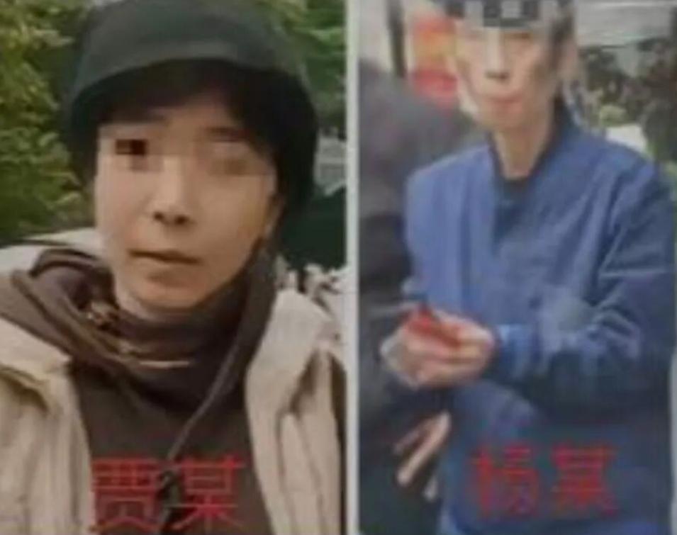 马库斯“和平小屋”事件的核心人物——贾姐，就是这位！据说社区书记也管她叫“贾姐”