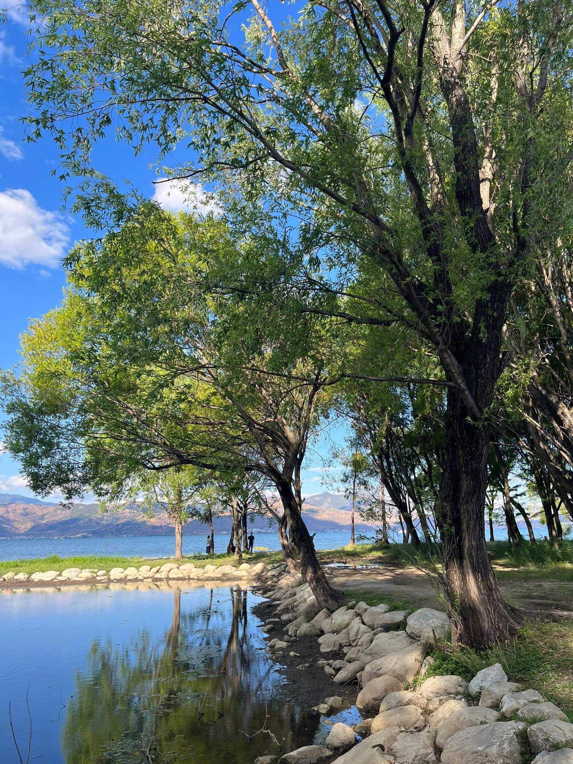 骑行是环洱海最好的方式在大理的这几天，真的有被这里旺盛的生命力感染到！被地球治愈