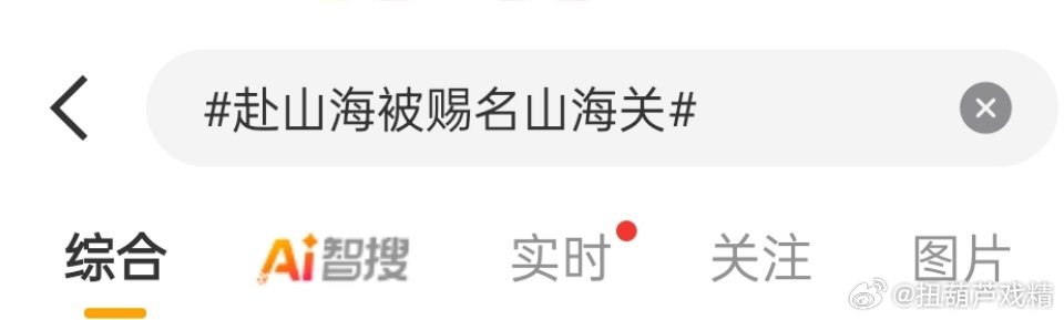 啥意思​​​