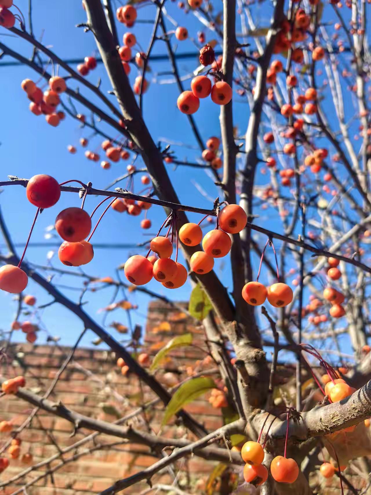 快过年了，说出来不怕你们笑话，说起来挺可怜的，尽管上个月的工资发了4000块钱，