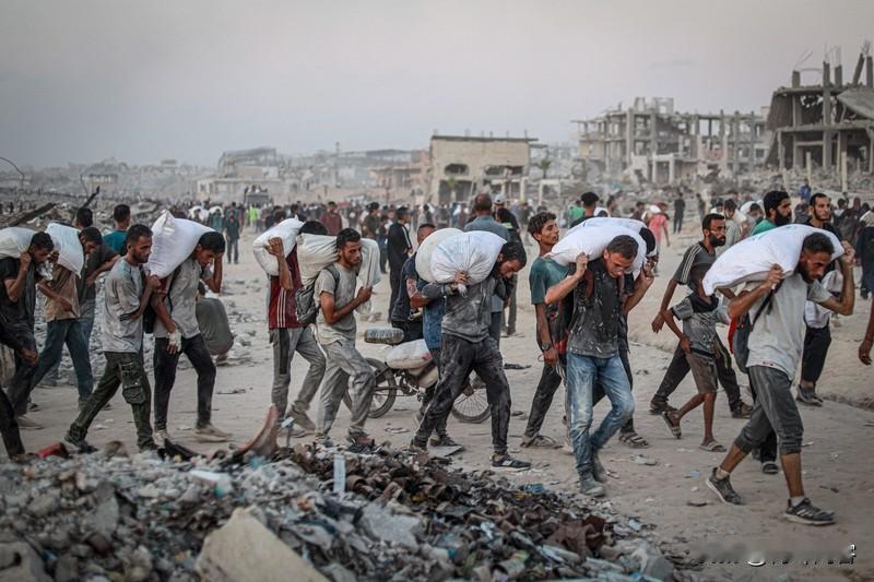 三哥真聪明最近，三哥大量涌入中国，他们在中国享受特别友好的待遇，他们说他们来自