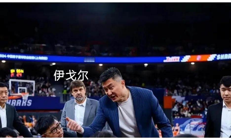 很多CBA球队都聘有外国助教，原因三个:一，让他们辅助能使国内教练成长。二，