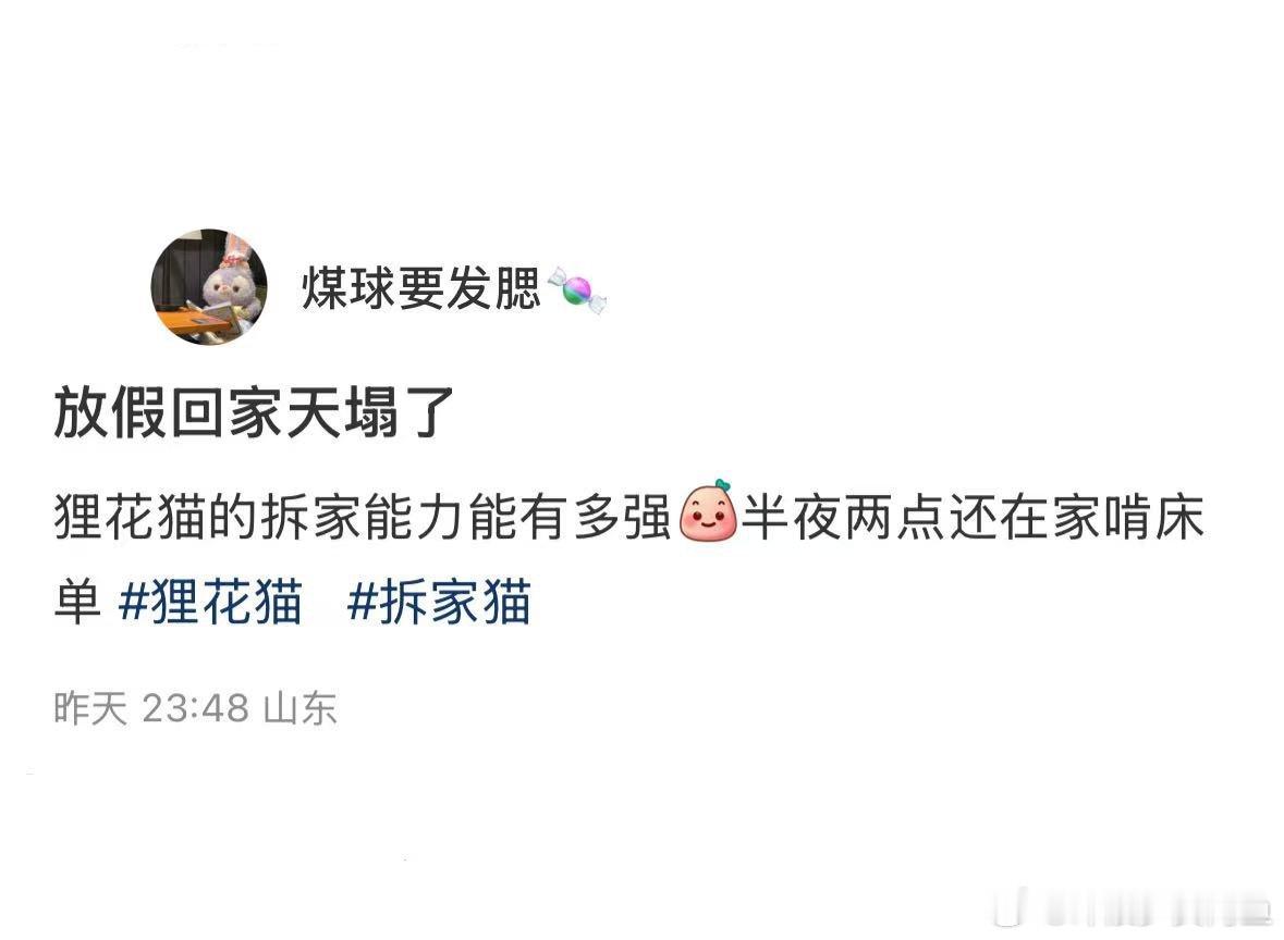 狸花猫拆家能力真的很强​​​