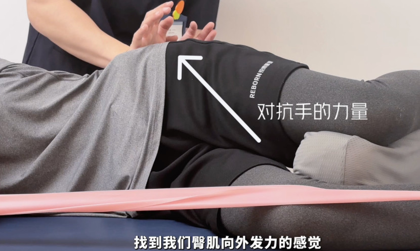 臀部训练【为何你不适合练蚌式】前天讲到臀肌，提到蚌式这个训练，需要区别“对待”