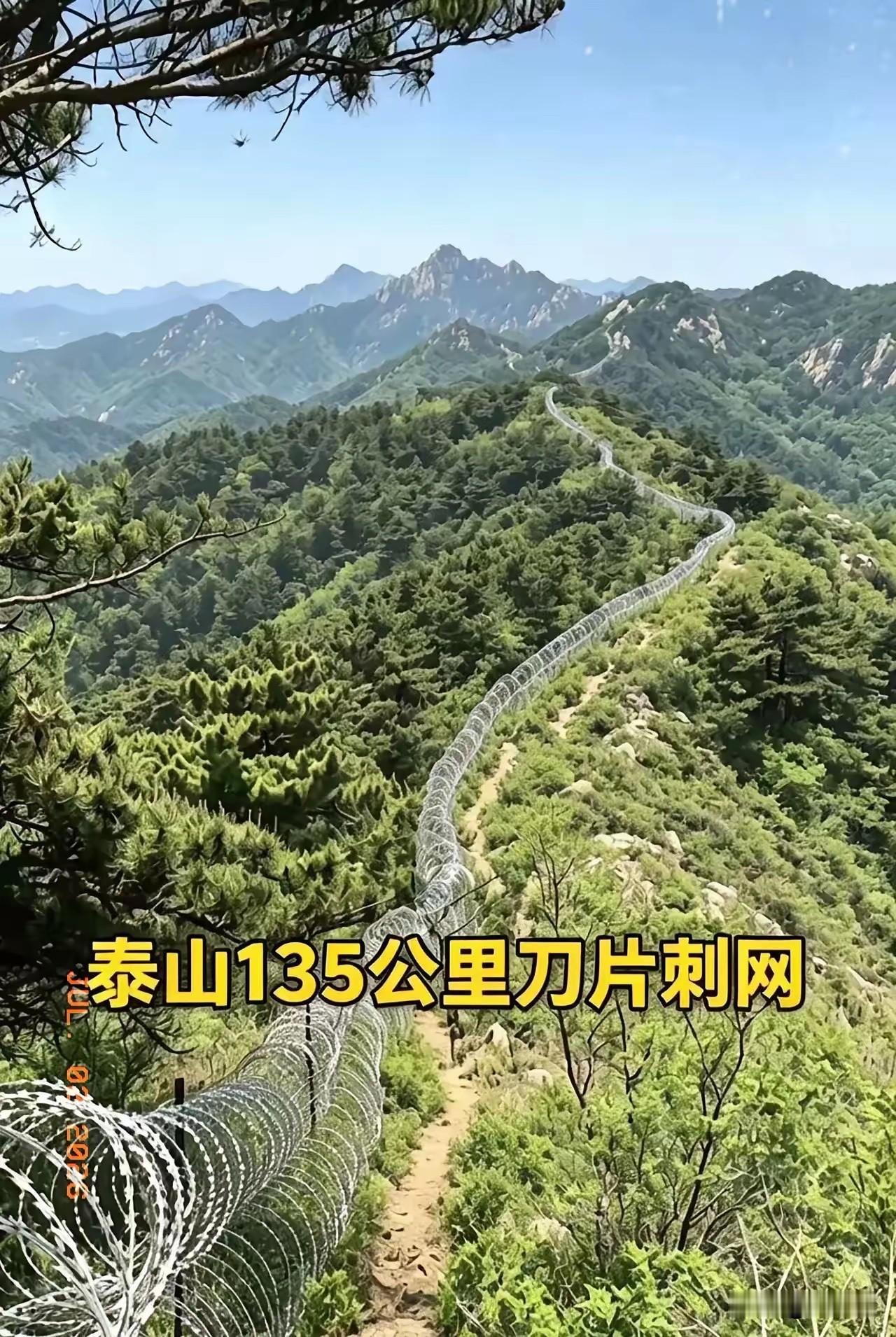 泰山围山这个事，让人想起深圳。深圳曾经也有一道铁丝围栏，从最西端的南头到最东边的