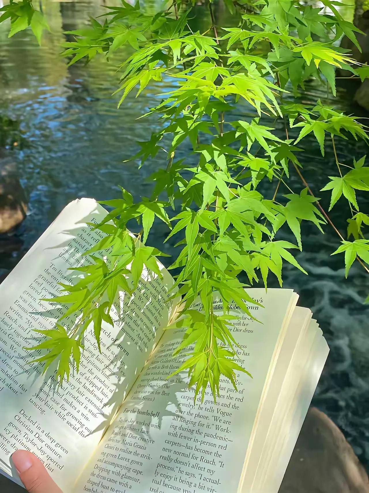 “运动可以解决80%的疾病，读书可以解决60%的命运，冷漠可以省去80%的烦恼，
