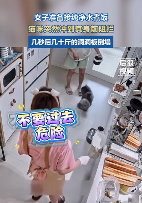 “科学无法解释！”湖南，一女子打算接纯净水煮饭，可刚走没几步，家里的猫咪就忽然冲