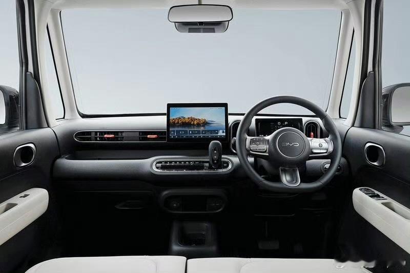 孙少军：比亚迪