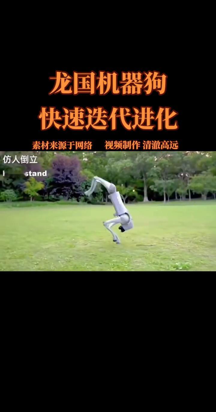 龙国机器狗能空翻三连，动作利索得跟杂技演员似的。全靠深度强化学习，自己琢磨怎么