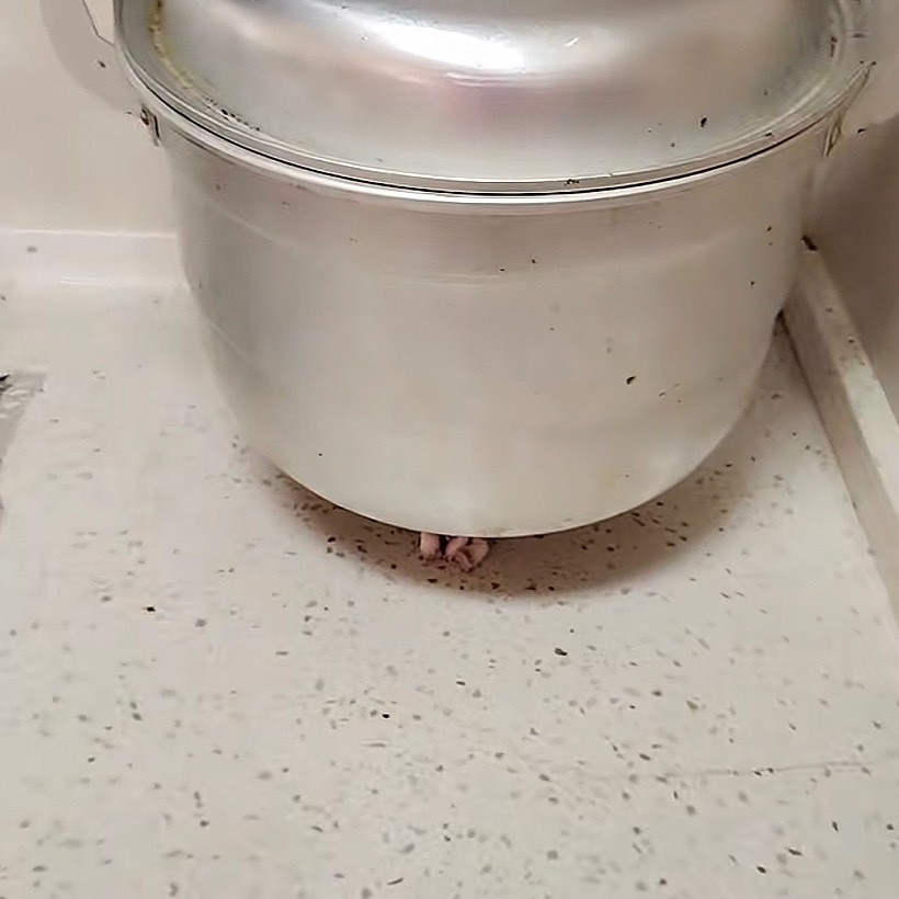 妈妈眼中手办最有价值的时候[捂脸哭]我的幽默灵感片场人间值得有欢喜​​​