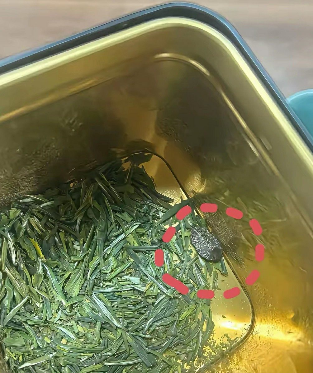 不然，茶怎么那么香呢？