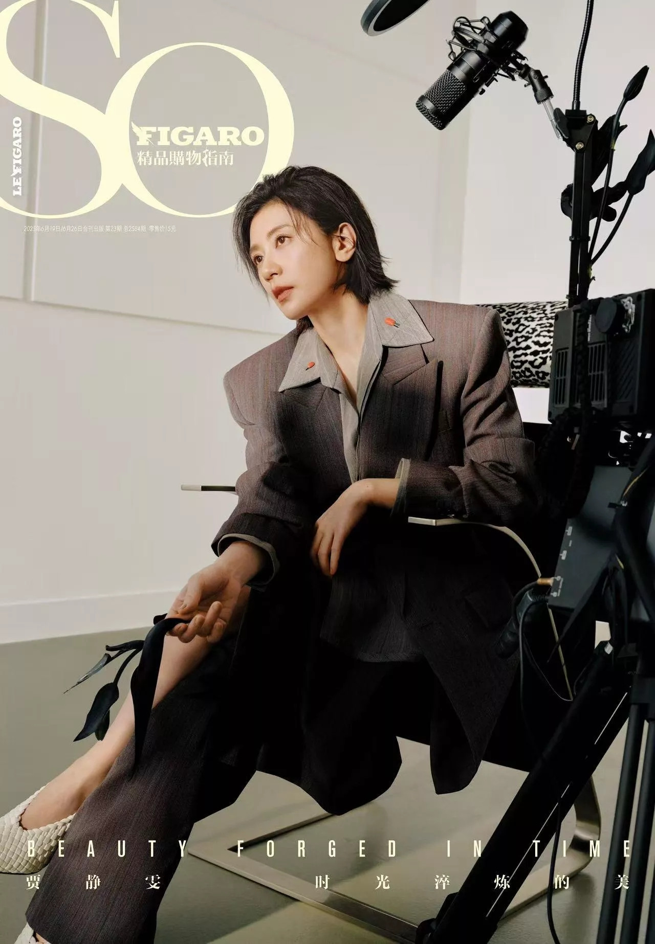 贾静雯：岁月沉淀下的美丽与智慧
