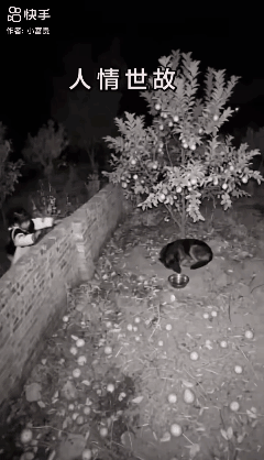 人情世故……[捂脸哭]