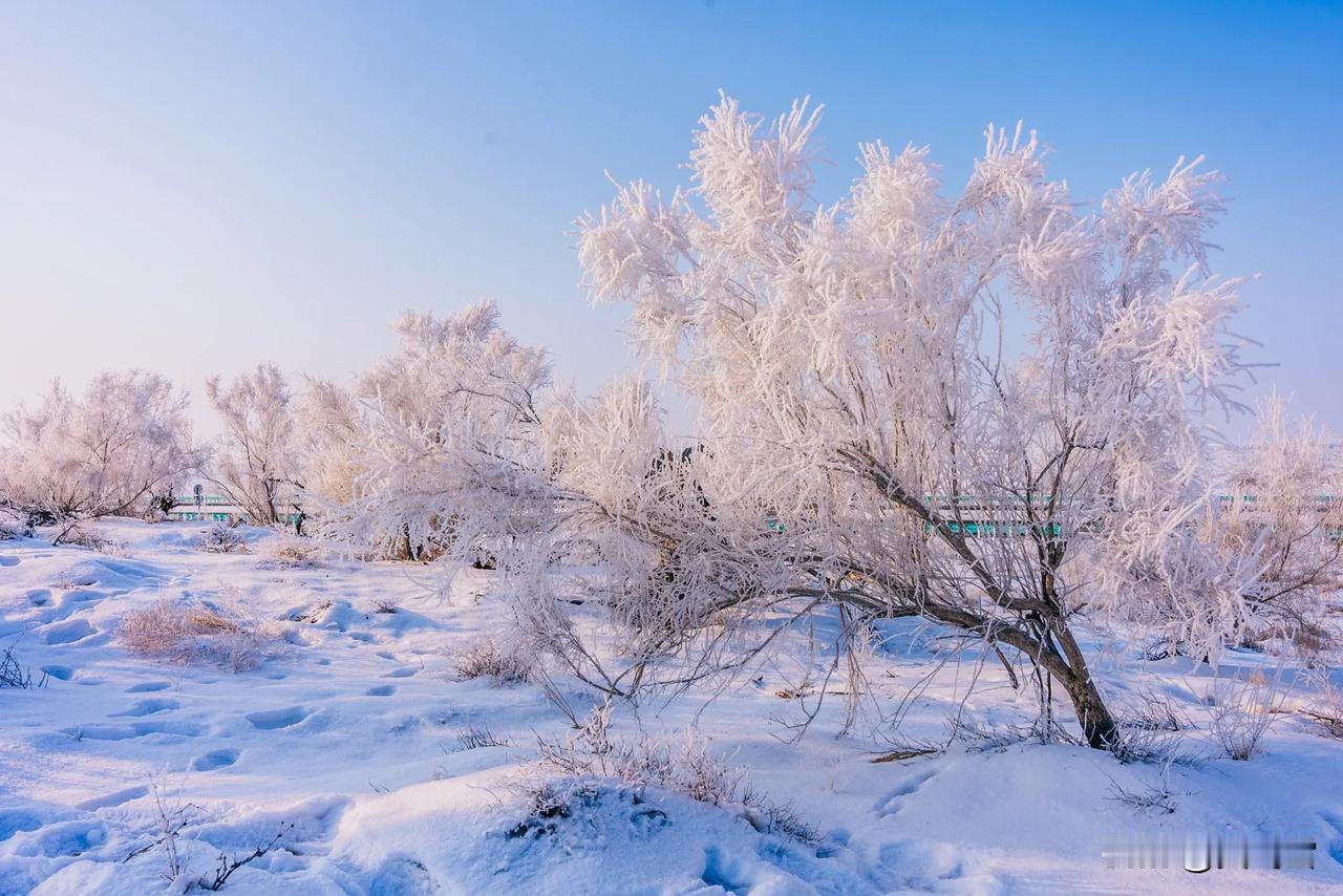 阿乌高速克拉美丽服务区的风景果然很美丽！克拉美丽沙漠公园是服务区的一部分。这里是