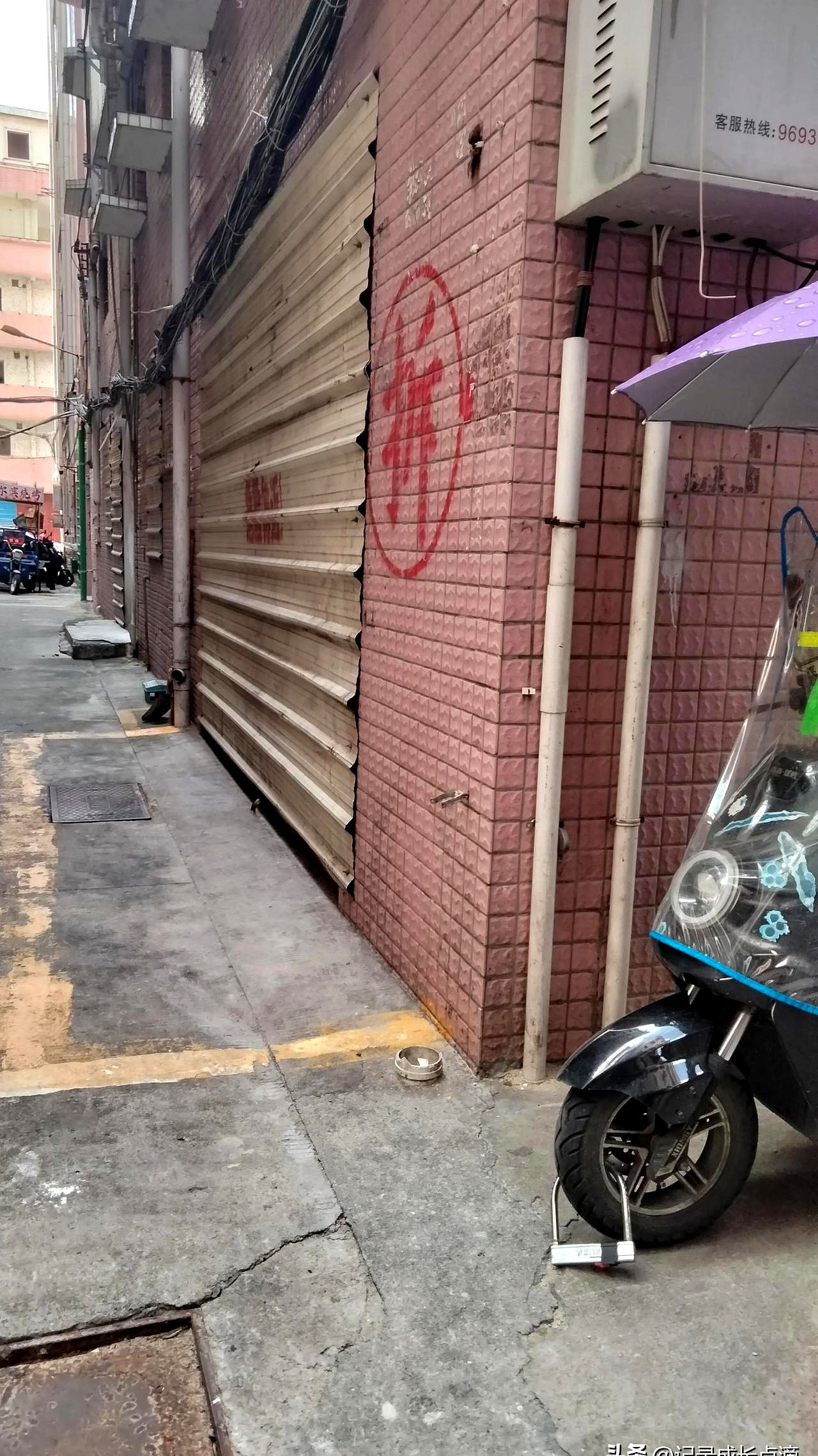 九十年代，第一批打工妹嫁给了浙江人。可不是嘛，老家穷得叮当响，吃饱饭都难。嫁过去