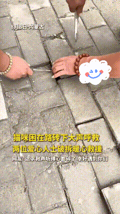 “这就是缘分！”8月8日，内蒙古，男子出门逛街，走着走着，突然从脚底传来
