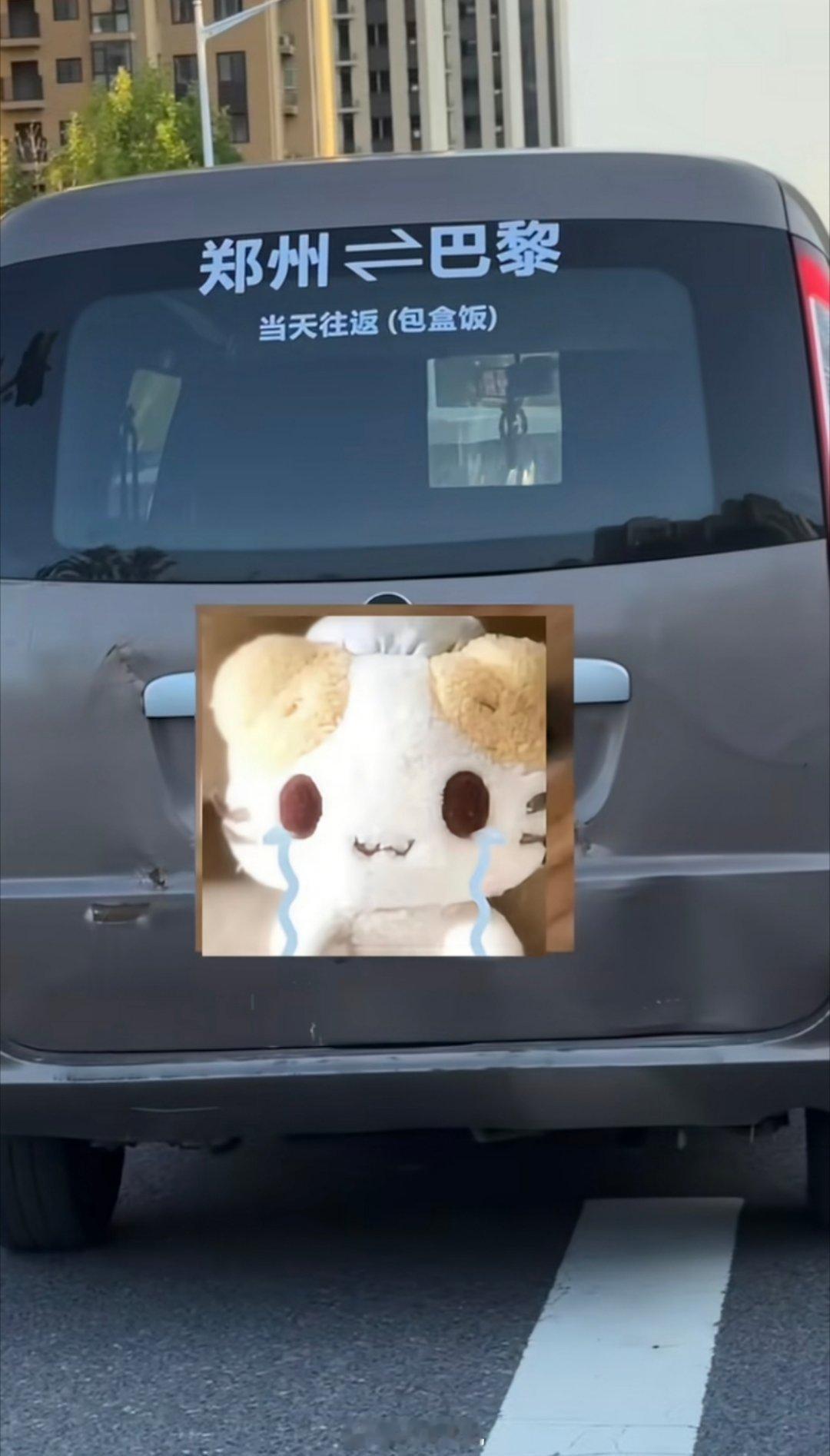 好家伙，郑州还是太全面了[捂脸哭][捂脸哭][捂脸哭]​​​