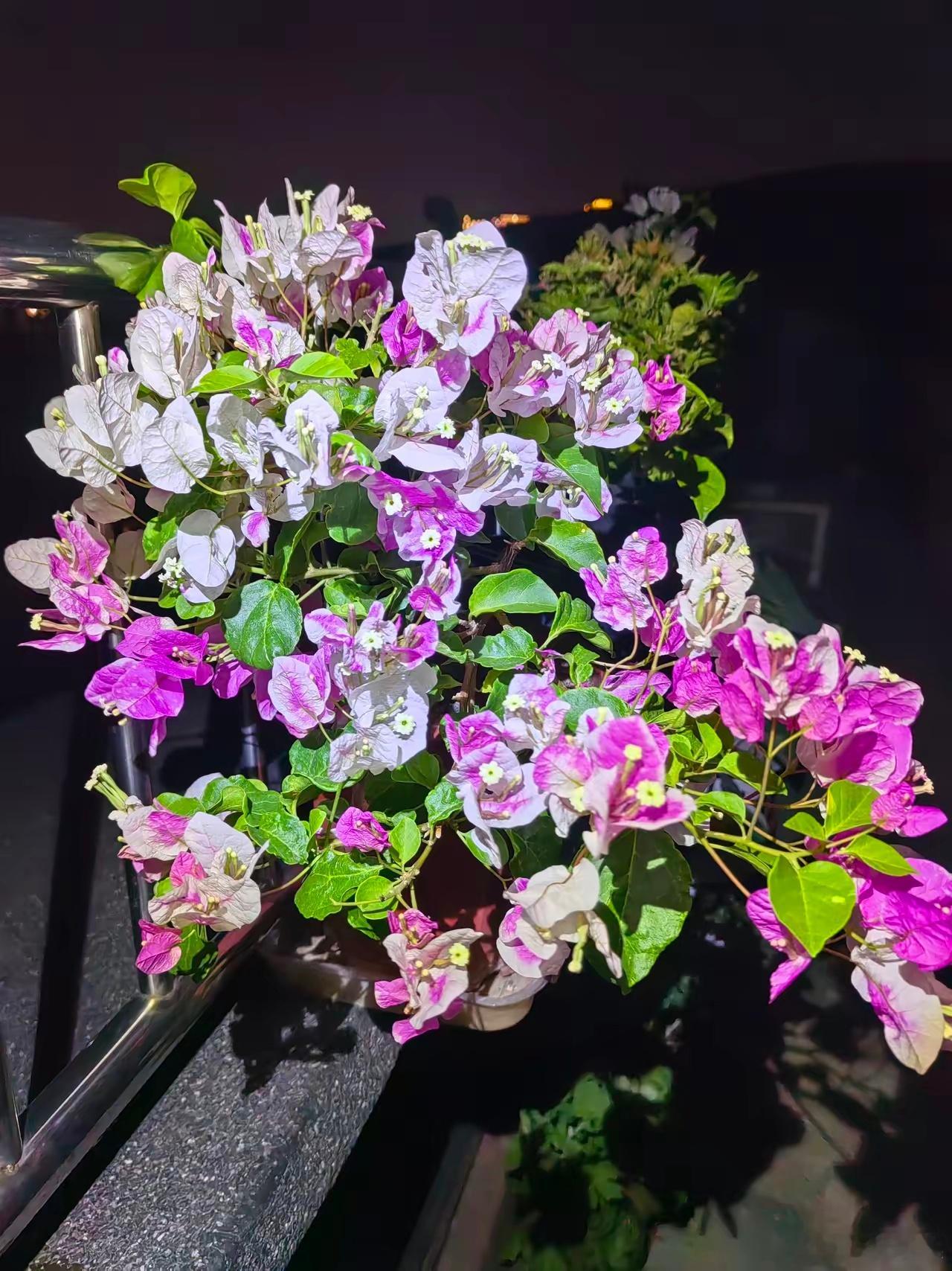 胖东来年底关店，按照目前的情况来看，大致情况是双方共同的意愿，只是一方是赌，一方