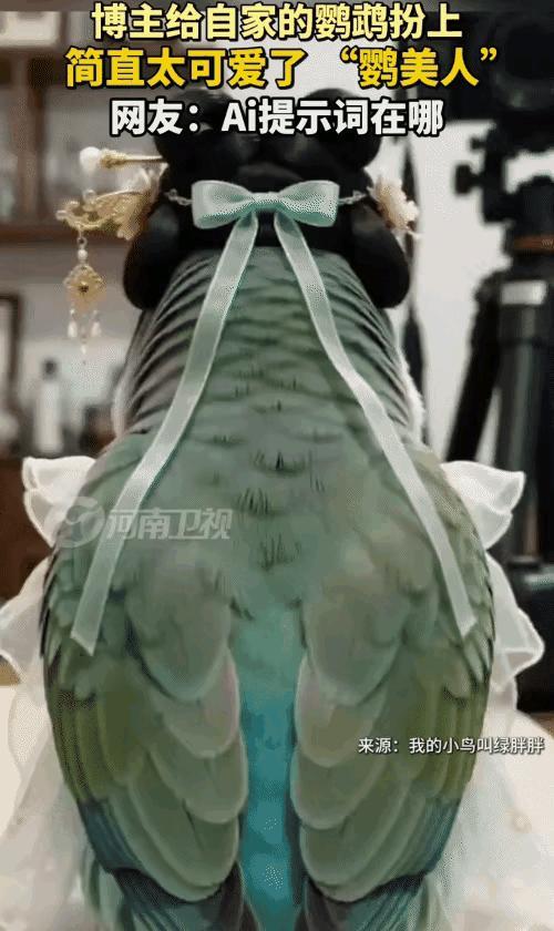 笑不活了！”现在养宠物的网友也太会玩了吧。闲来无事给自己家鹦鹉安排上全套古风