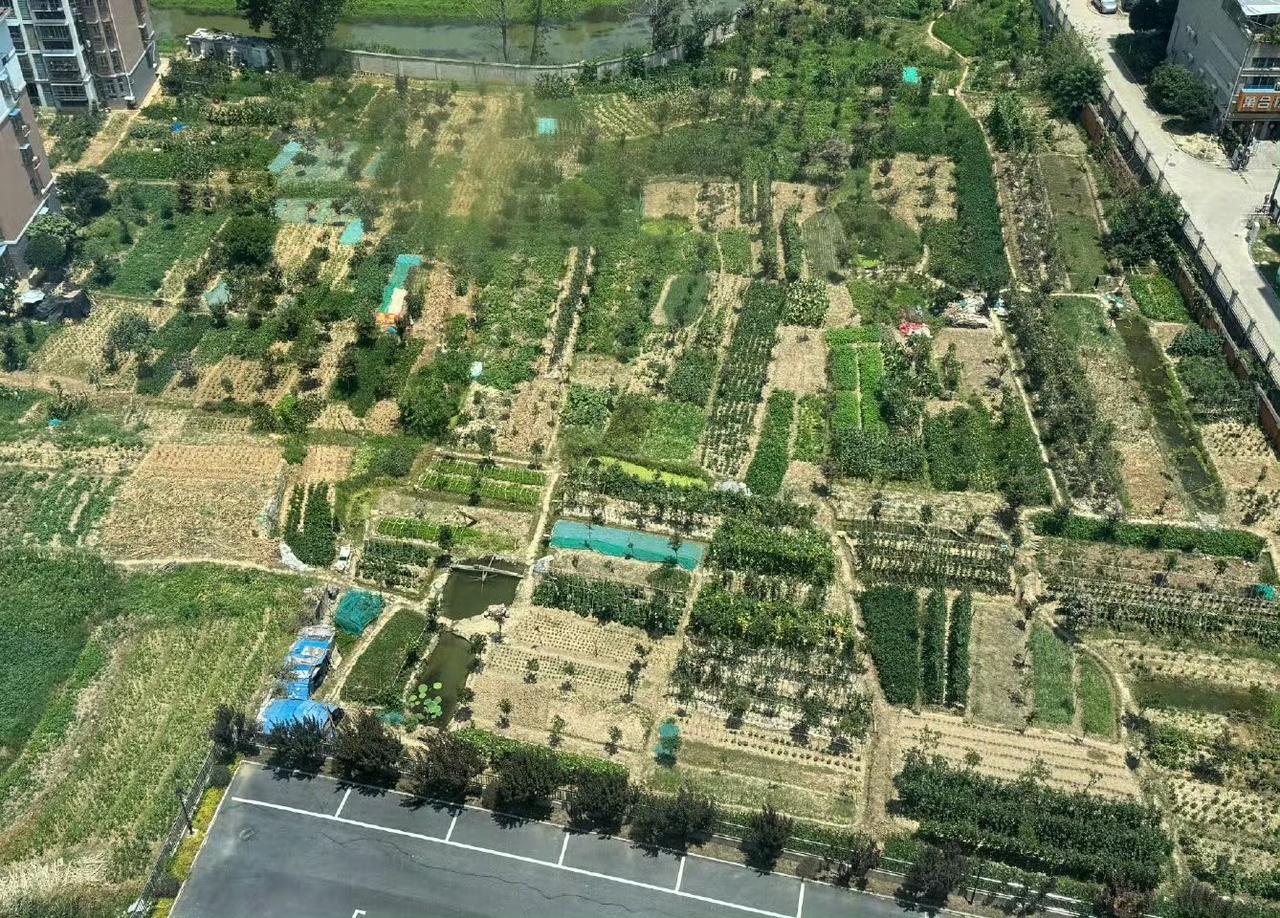 两种农业模式：左图是……，右图是美国。第一种，根据……农业部统计数据显示，截至