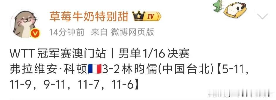 没想到林昀儒一轮游走了，还是输给俄罗斯的科顿。这个科顿的打法是不是有点什么说