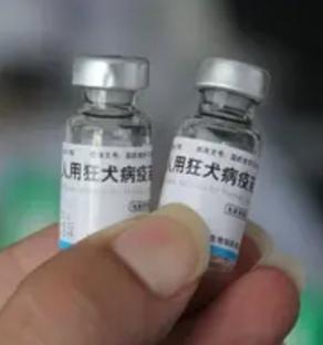 致命风险潜藏“微伤”！47岁女子因幼犬轻咬未处理引发狂犬病“就破了点皮，自