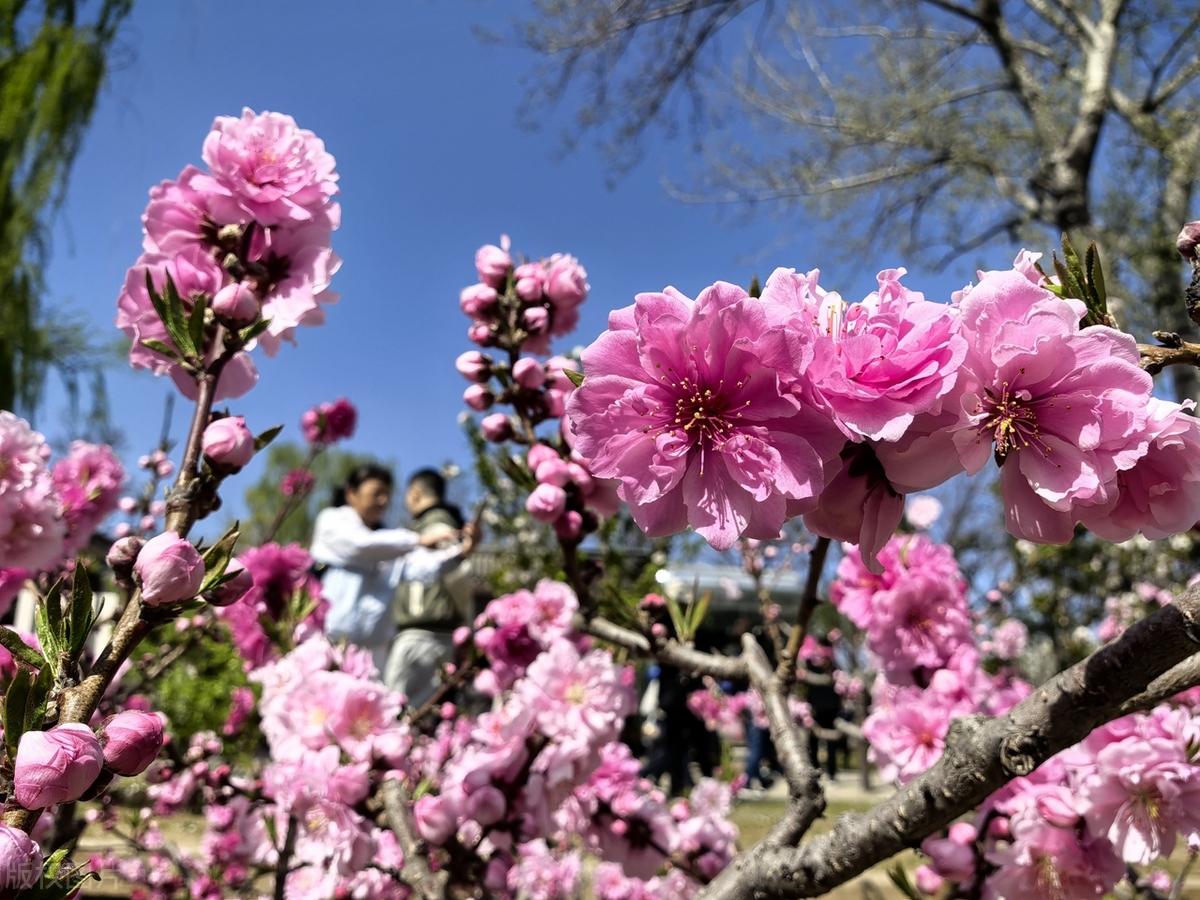 别去强求不是你的东西，别去强留不属于你的人，因为他们本就不该是你的，迟早都要走，
