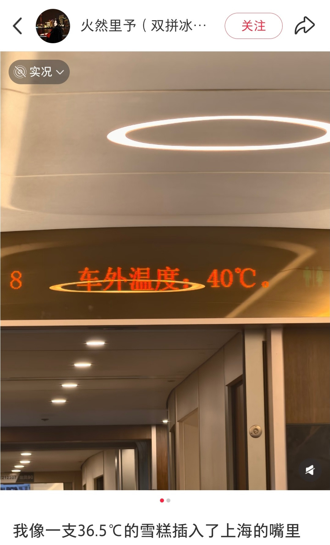 我像一支36.5℃的雪糕插入了上海的嘴里